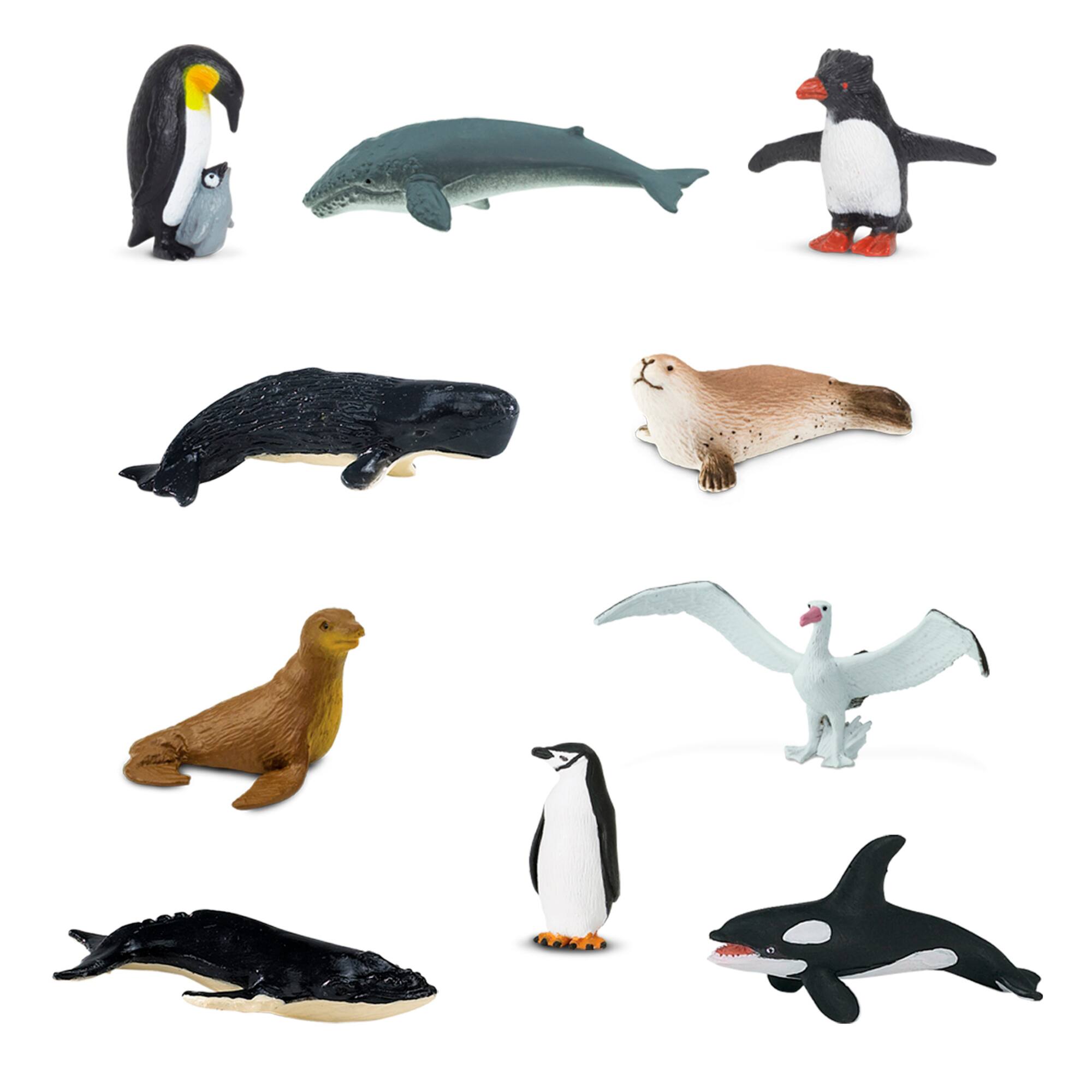 Safari Ltd® TOOB® Antarctica